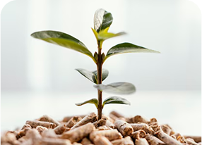 Fertilizers & Feed