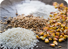 Grains